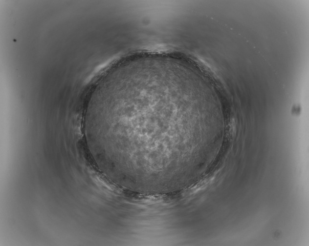 X0000091461205200709061749