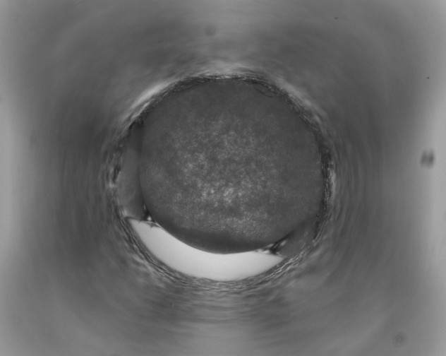 X0000091461206200709061749