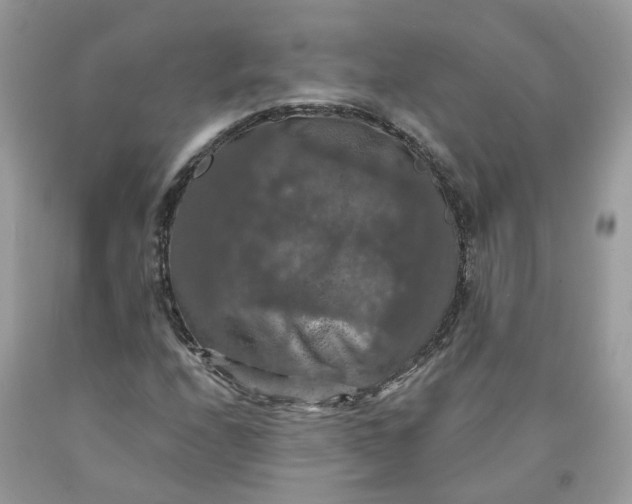 X0000091461208200709061749