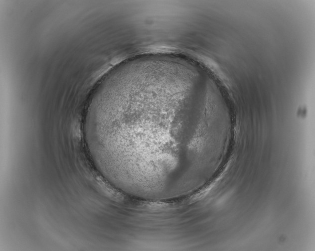 X0000091461209200709061749