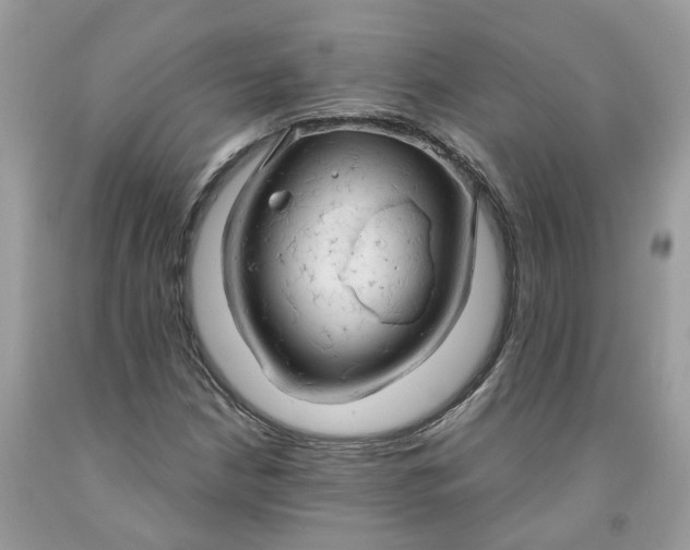 X0000091461210200709061749