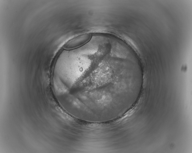 X0000091461212200709061749