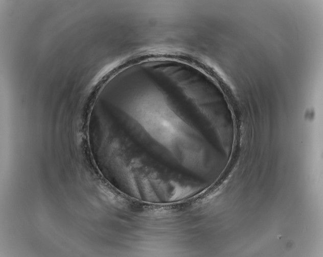 X0000091461213200709061749