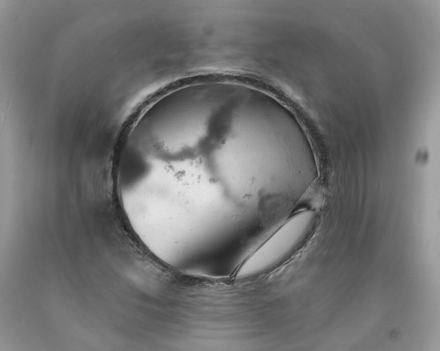 X0000091461214200709061749