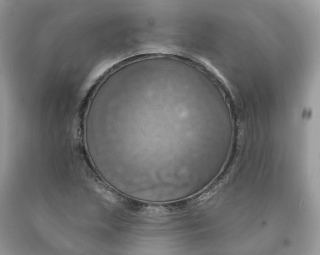 X0000091461215200709061749