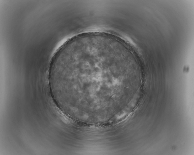 X0000091461216200709061749