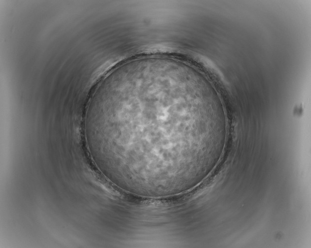 X0000091461217200709061749