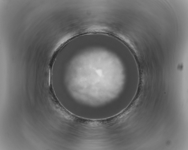 X0000091461219200709061749