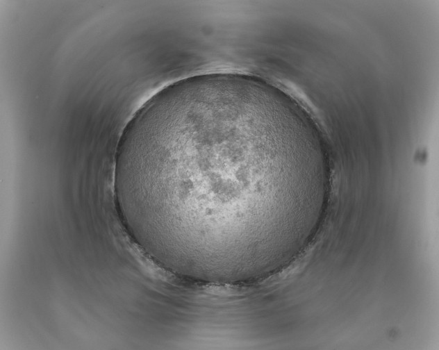 X0000091461220200709061749