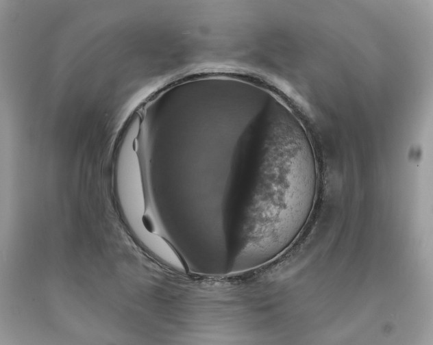 X0000091461221200709061749