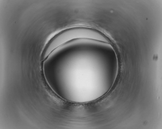 X0000091461222200709061749