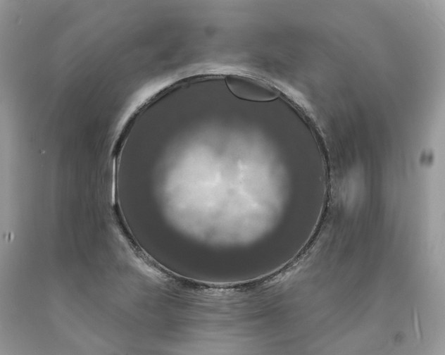 X0000091461223200709061749