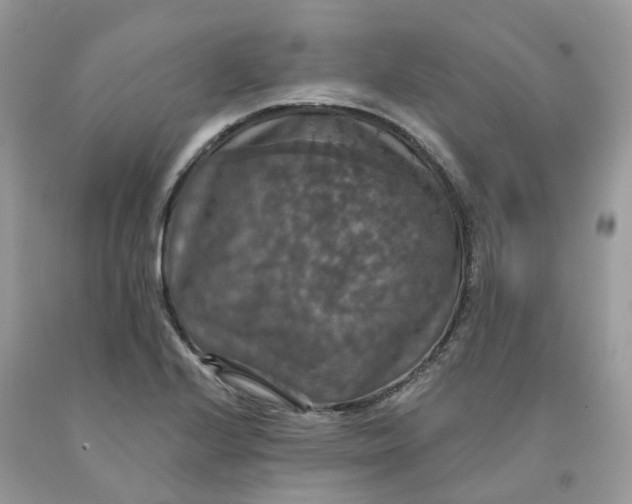 X0000091461224200709061749