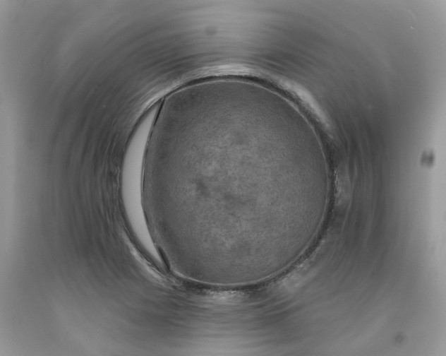 X0000091461225200709061749