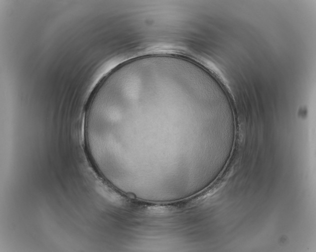 X0000091461227200709061749