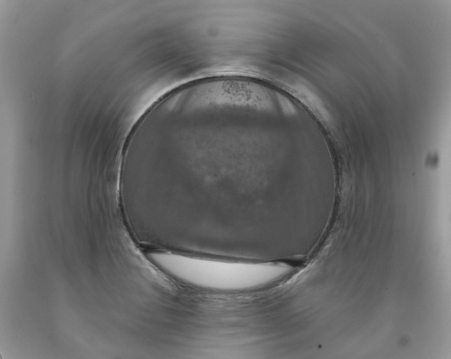 X0000091461228200709061749