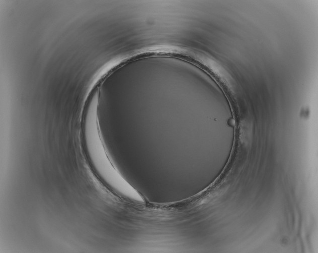 X0000091461229200709061749