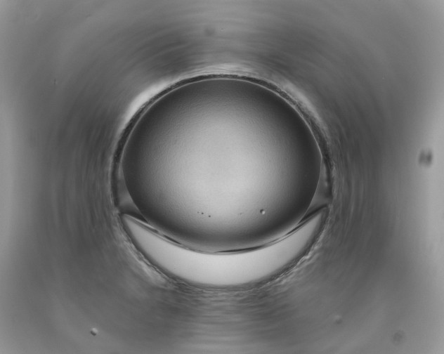 X0000091461230200709061749