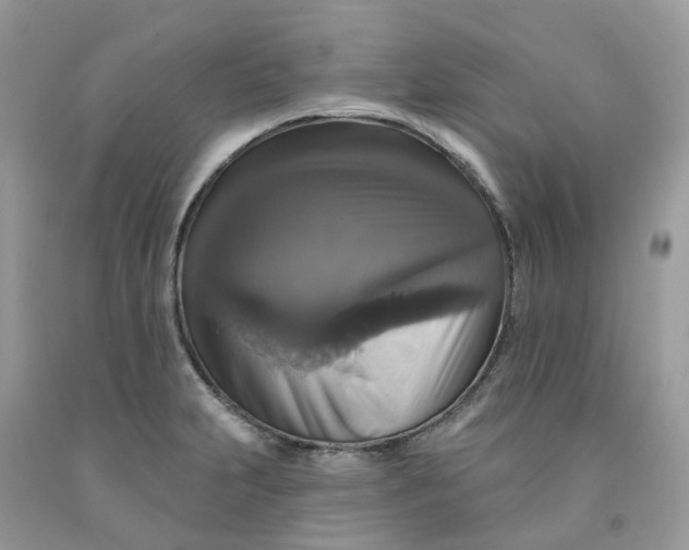 X0000091461231200709061749