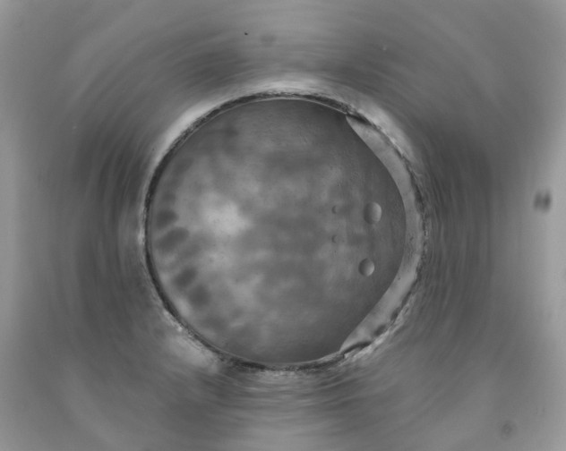 X0000091461232200709061749