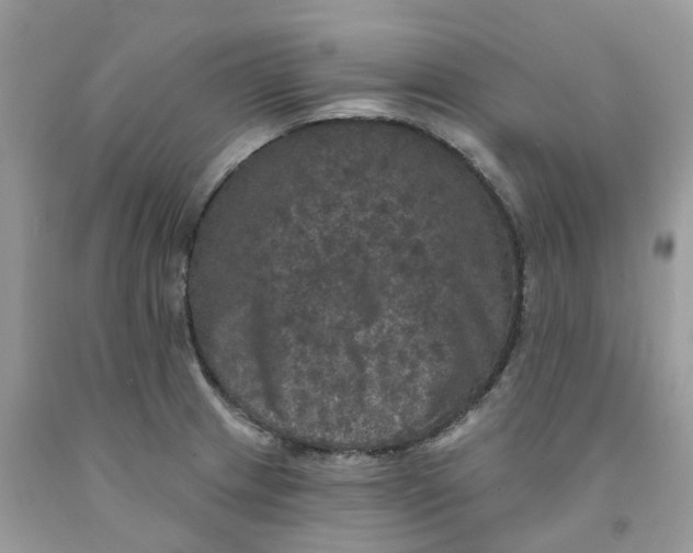 X0000091461233200709061749