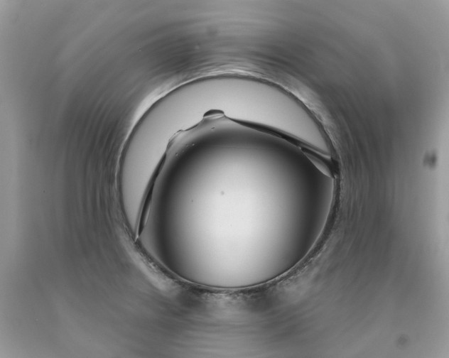 X0000091461234200709061749