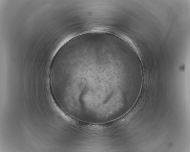 X0000091461235200709061749