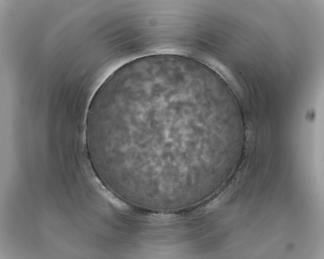 X0000091461236200709061749