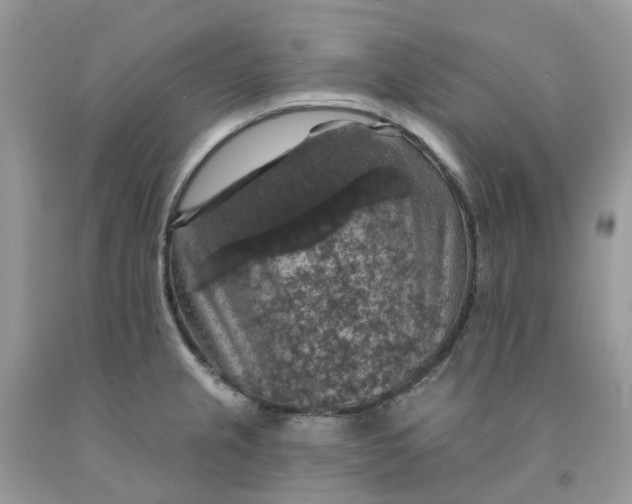 X0000091461237200709061749