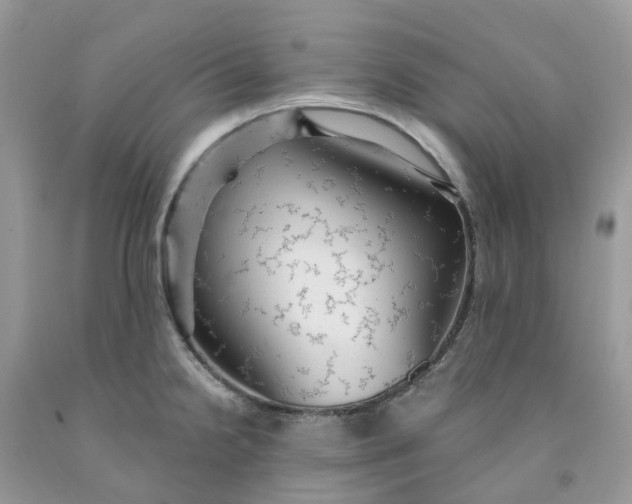 X0000091461238200709061749