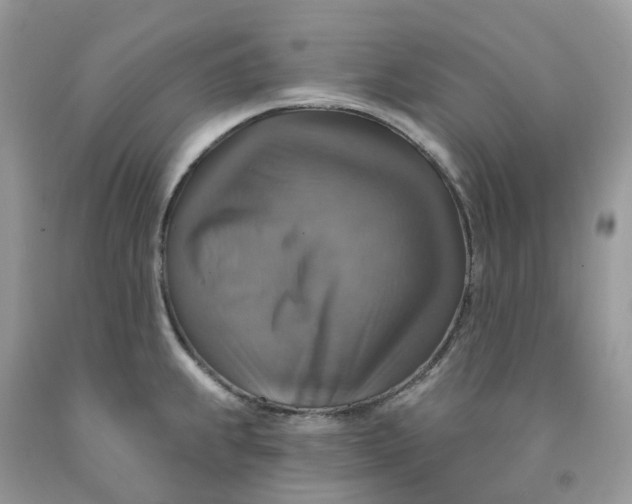 X0000091461239200709061749