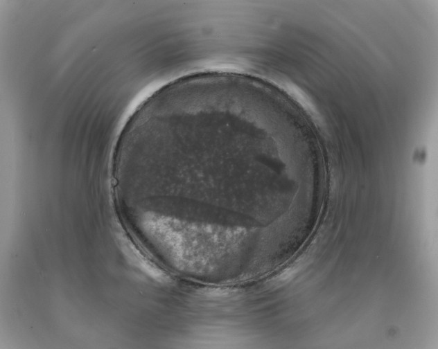 X0000091461240200709061749