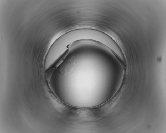 X0000091461242200709061749