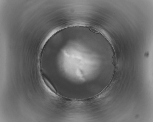 X0000091461243200709061749