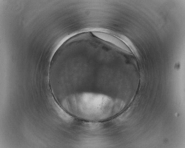 X0000091461244200709061749