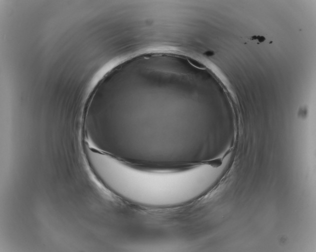 X0000091461245200709061750