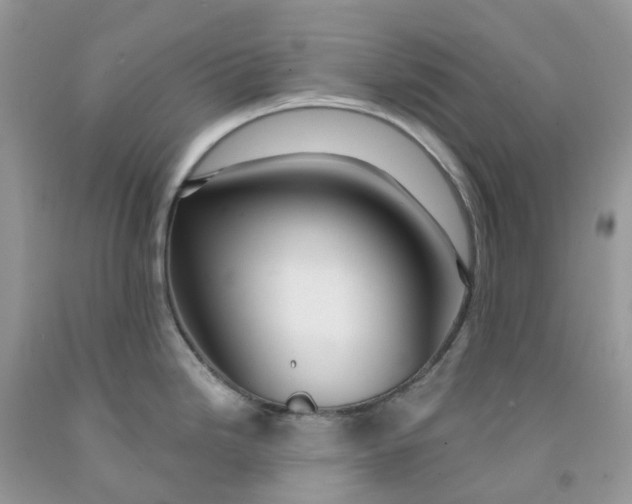 X0000091461246200709061750