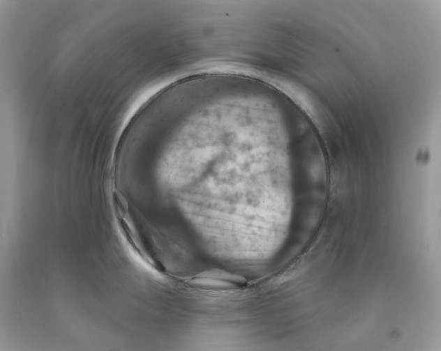 X0000091461247200709061750