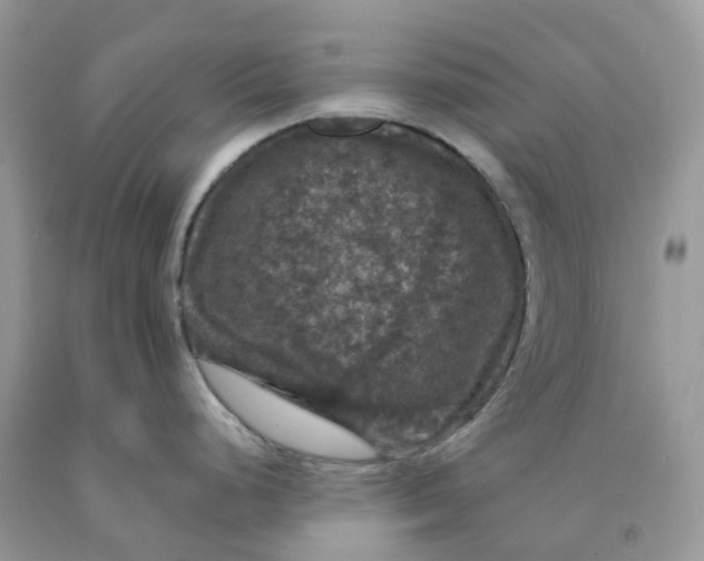 X0000091461248200709061750