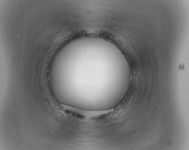 X0000091461249200709061749