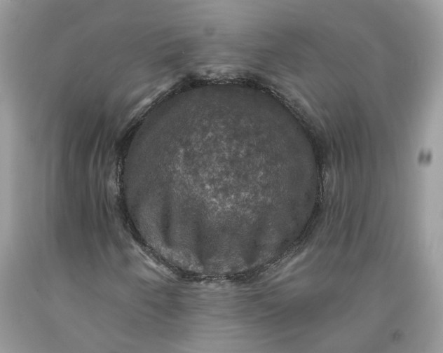 X0000091461250200709061749