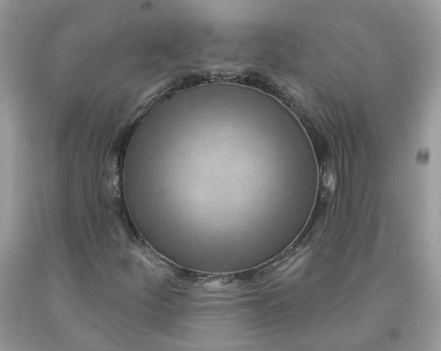 X0000091461252200709061749