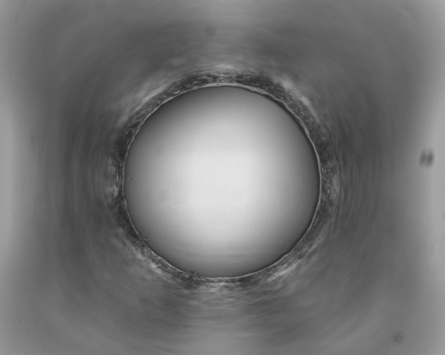 X0000091461253200709061749