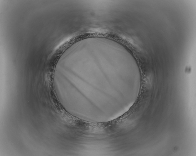 X0000091461254200709061749