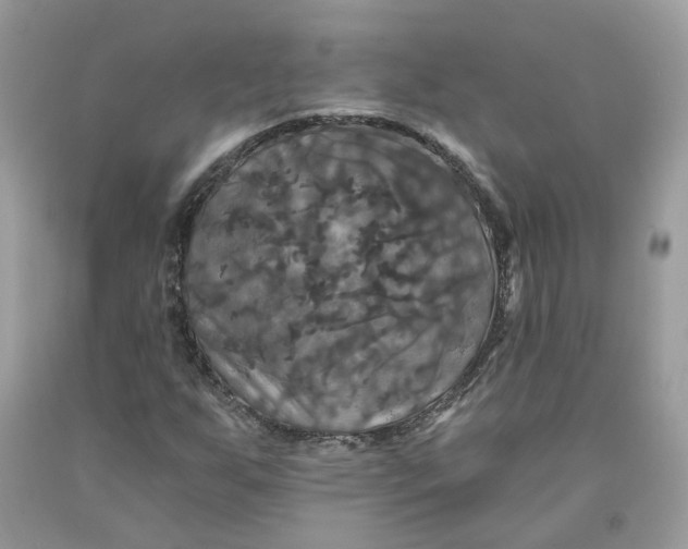 X0000091461255200709061749