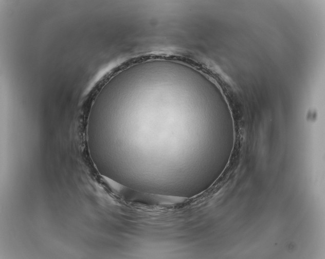 X0000091461256200709061749