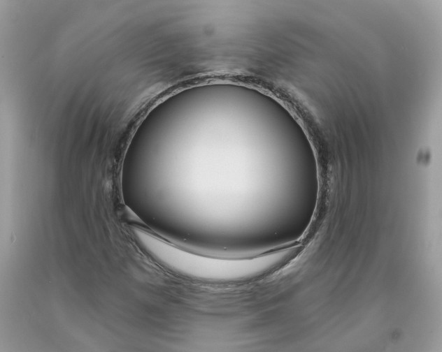 X0000091461257200709061749