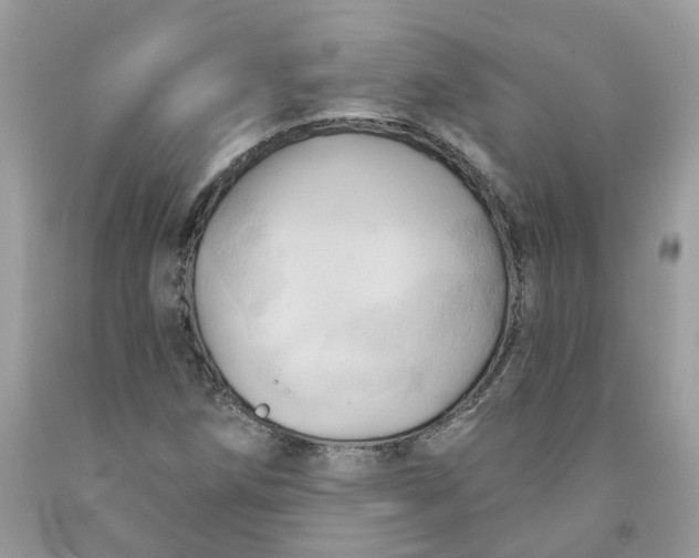 X0000091461258200709061749