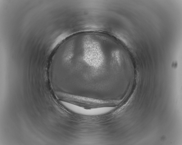 X0000091461259200709061749