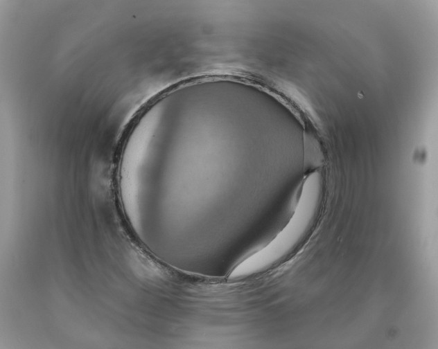 X0000091461260200709061749